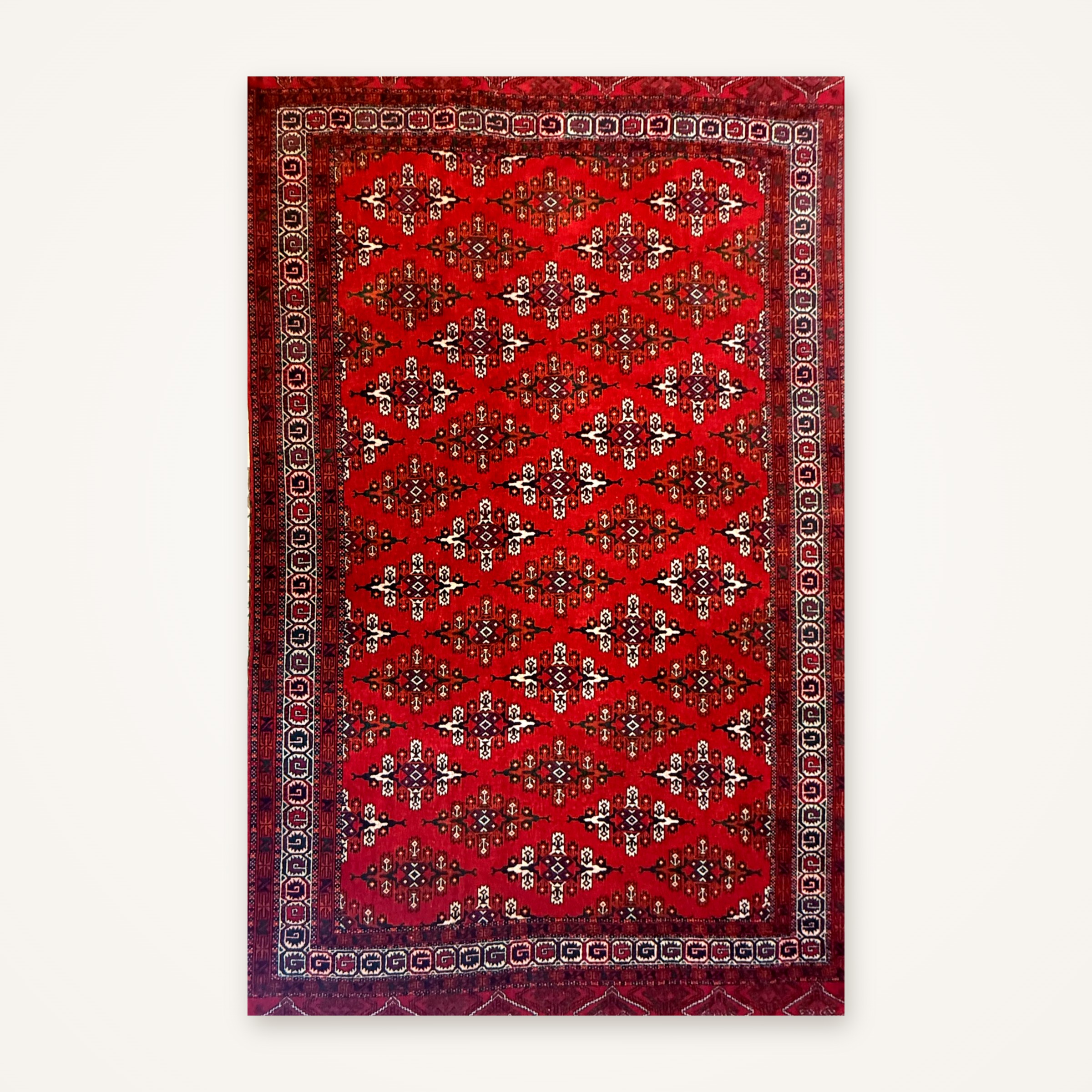 Tappeto Turcaman persiano lana su lana 265×163 cm, campo rosso con gul geometrici – vista frontale